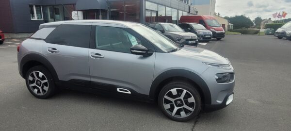 C4 CACTUS
