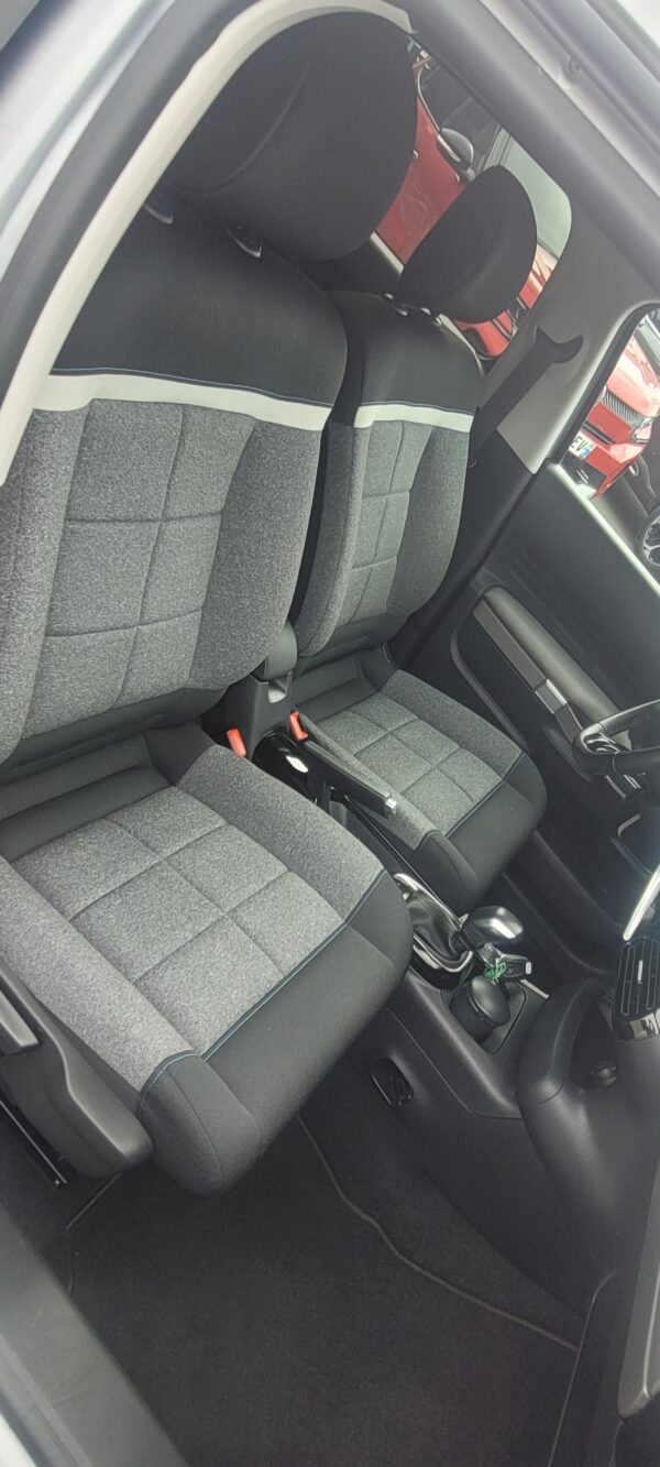 C4 CACTUS – Image 3