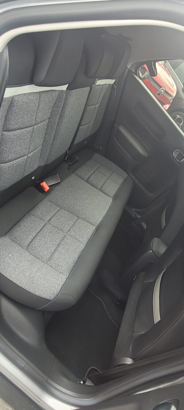 C4 CACTUS – Image 4