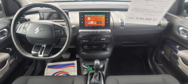C4 CACTUS – Image 6