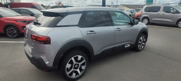 C4 CACTUS – Image 7